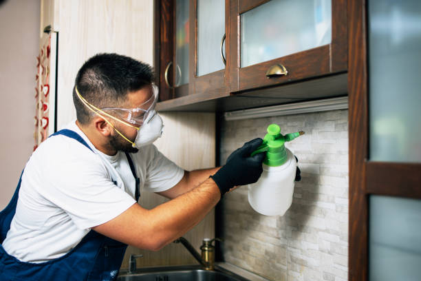 Best Emergency Pest Control  in Pleasure Point, CA