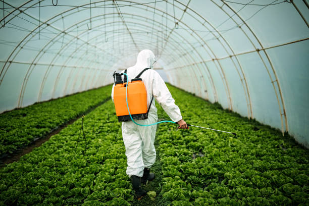 Best Affordable Pest Control Services  in Pleasure Point, CA