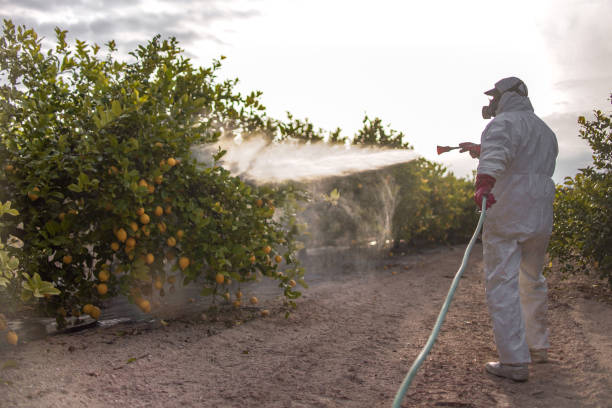 Best Best Pest Control Companies  in Pleasure Point, CA