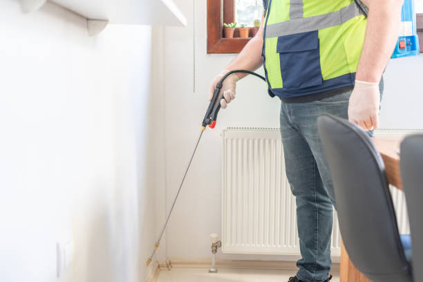 Flea Control Services in Pleasure Point, CA